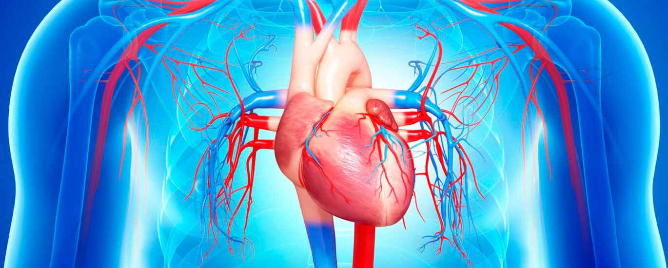 Global Rheumatic Heart Disease Management Industry