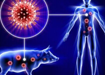 Global Swine Respiratory Diseases Treatment Industry