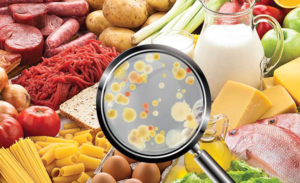 Microbial Food Culture Market