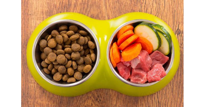 Pet Food Ingredients Market