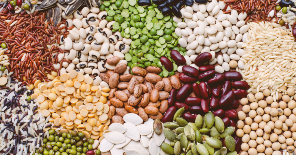 Pulse Ingredient Market