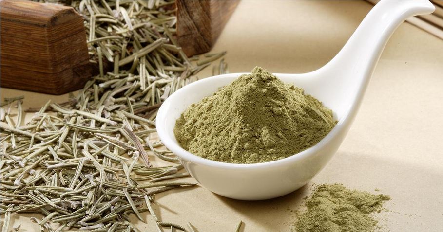 Rosemary Extracts Market