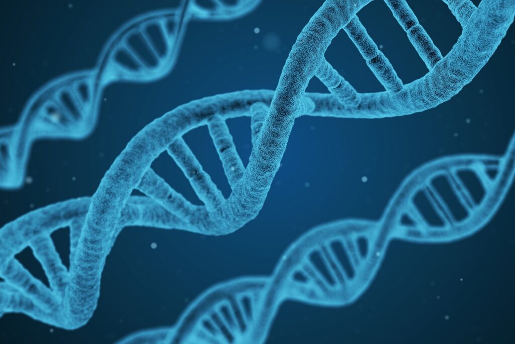 Whole Genome Amplification (WGA) Market