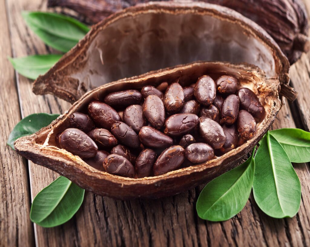 cocoa beans market