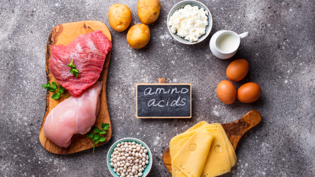  food amino acids