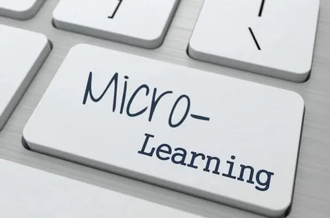 Microlearning Platforms Market