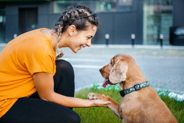 USA & Canada Pet Care Products Market