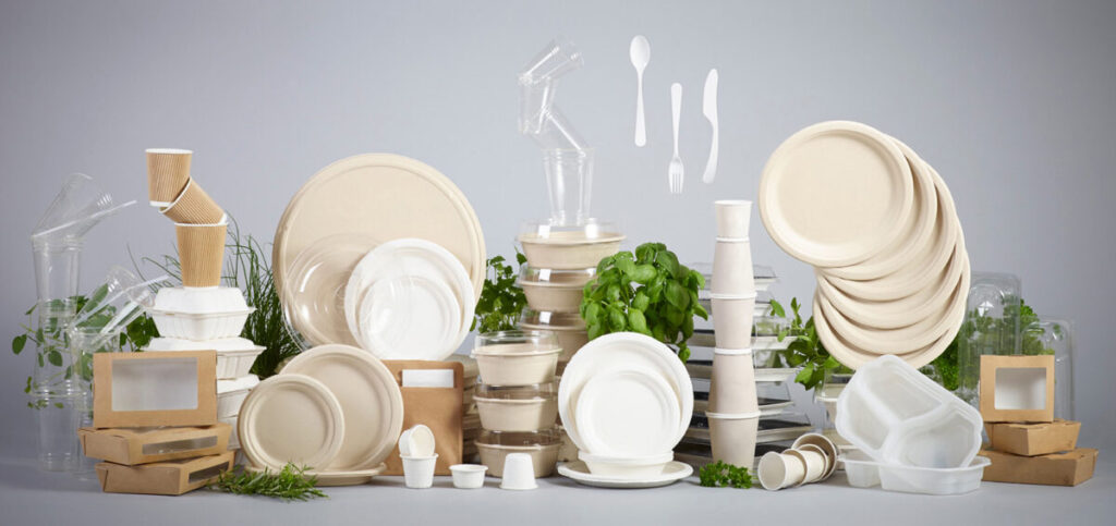 Bagasse Tableware Products Market 