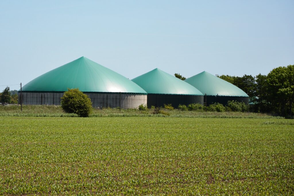 Biogas Market 
