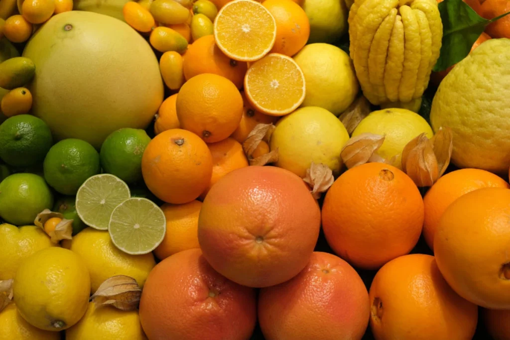 Citrus Crop Nutrition Market