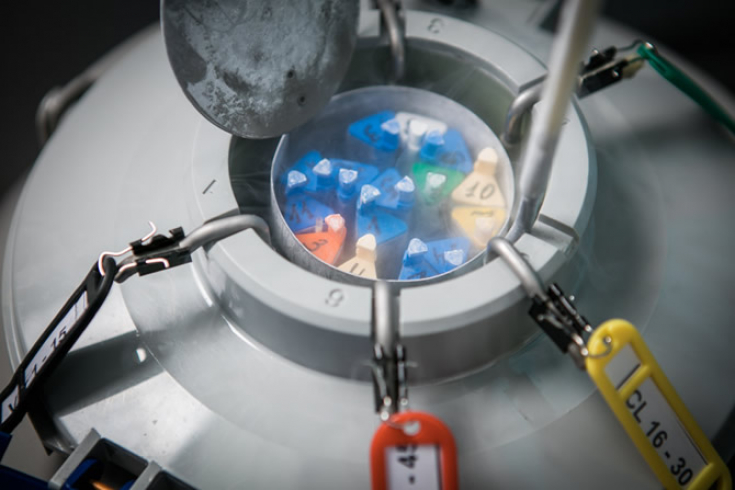 Cryopreservation Freezers Market