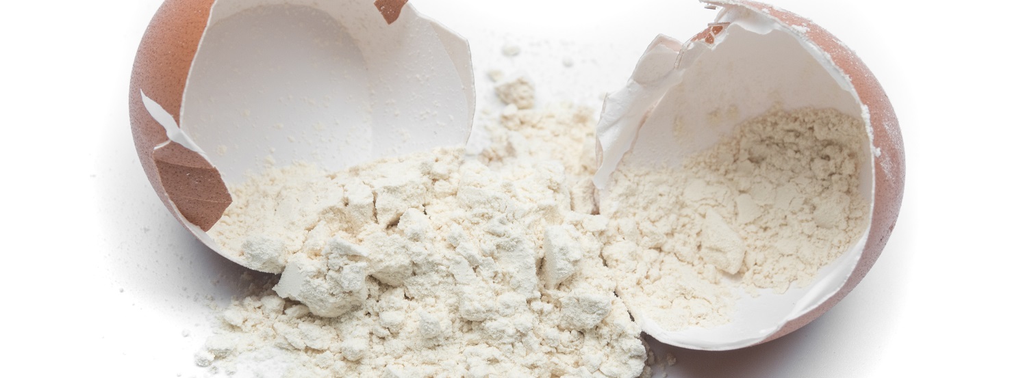 Explosive Growth Ahead Egg White Powder Market to Exceed USD 5 Billion