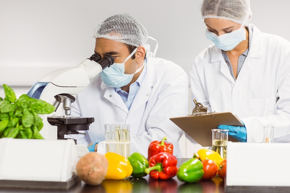 GMO Testing Services Market 