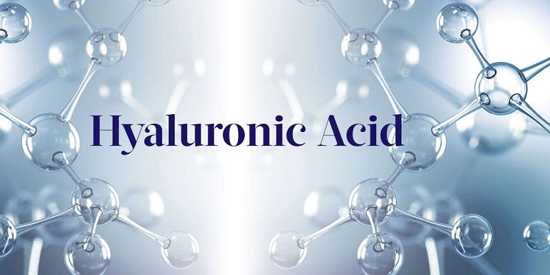 Hyaluronic Acid Supplement Market