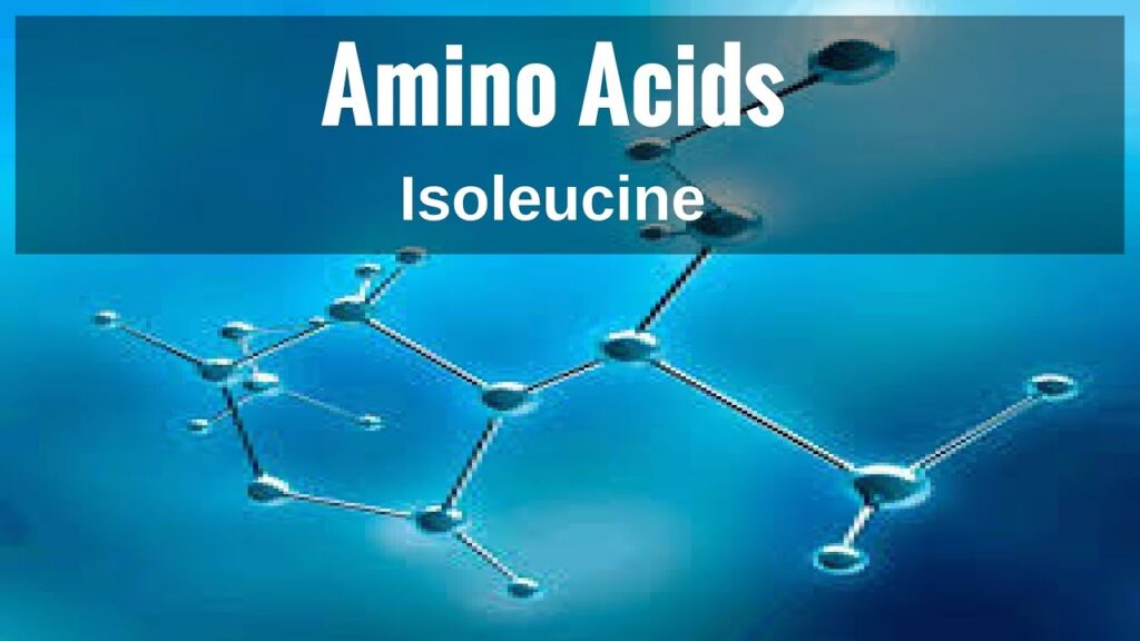 Isoleucine Market