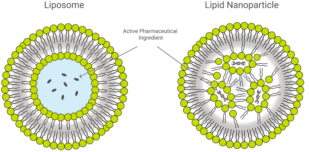 Lipid Nanoparticles Market