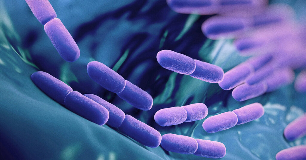 Multistrain Probiotics Market