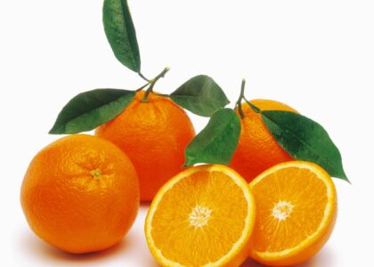 Orange Terpenes Market