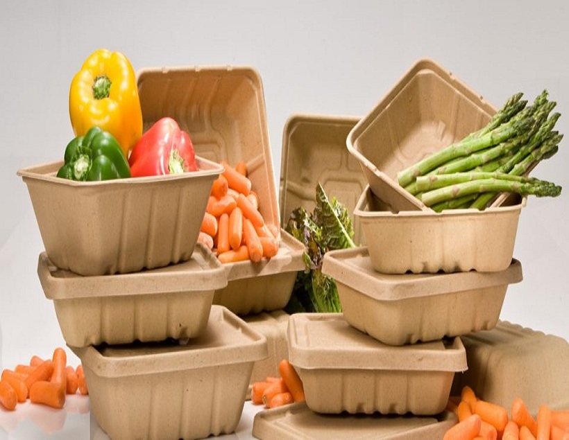 Plant-Based Food Packaging Market