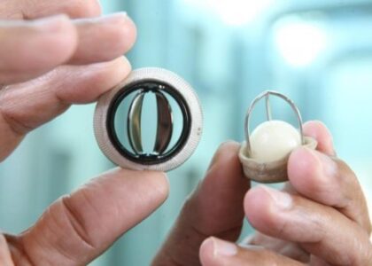 Prosthetic Heart Valve Market