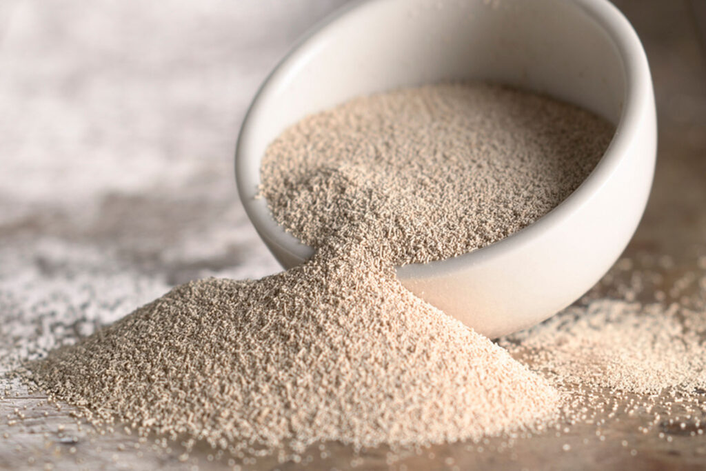 Yeast Nucleotides Market