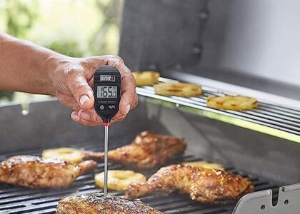 Digital BBQ Tongs and Thermometer Market