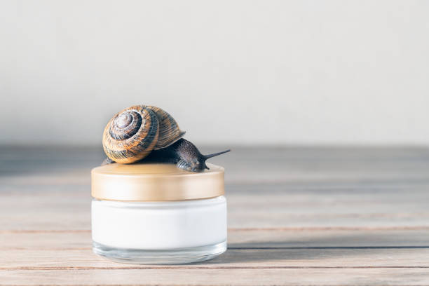 Snail Mucin Skincare Market