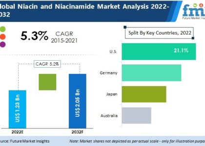 Niacin and Niacinamide Market