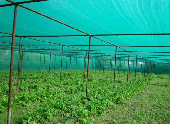 Agriculture Nets Market
