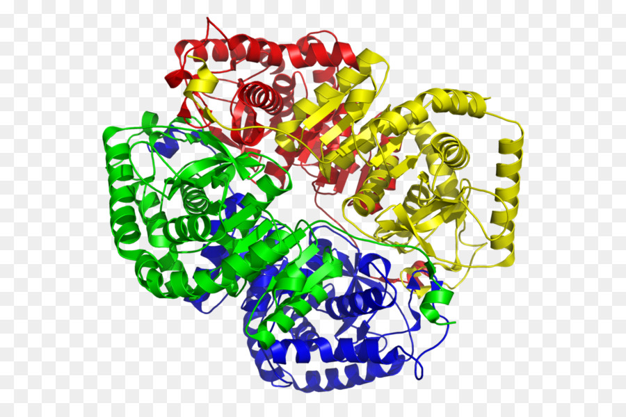 Alcohol Dehydrogenase Enzymes Market