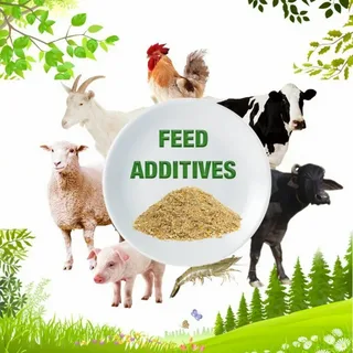 Animal Feed Additive Market
