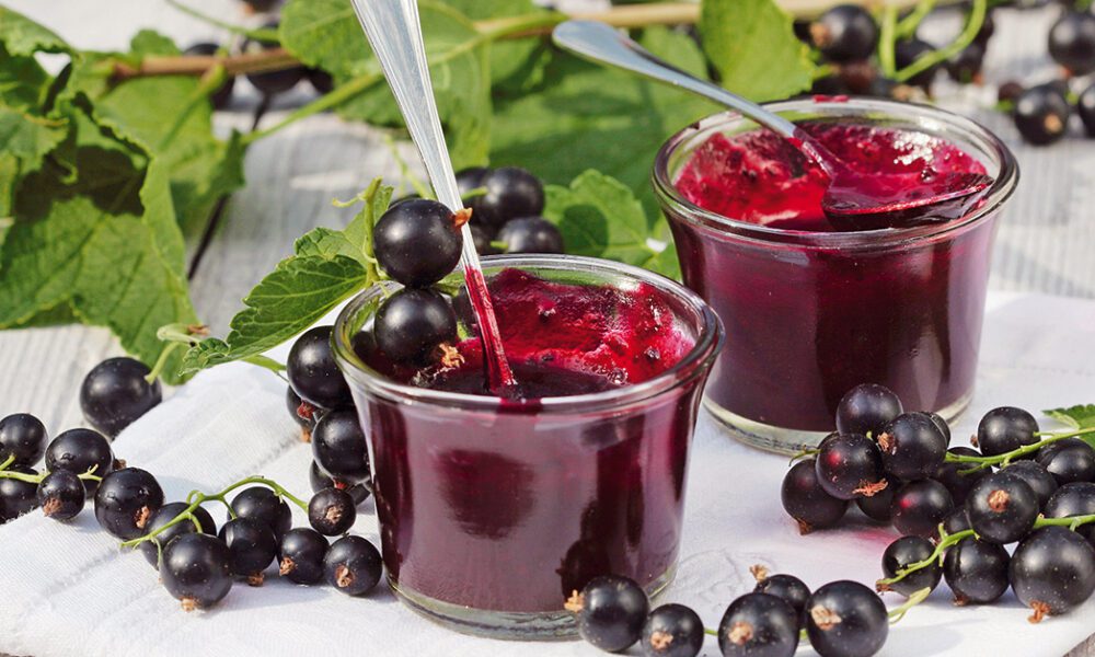 Blackcurrant Powder Market