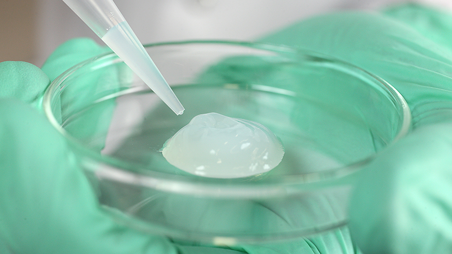 Cellulose Gel Market 