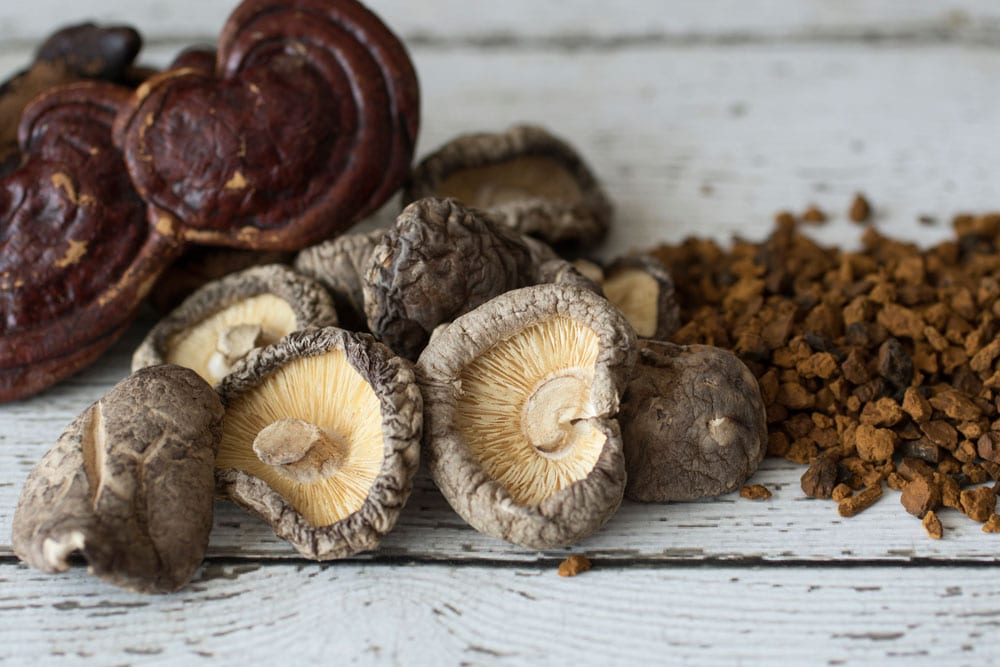 Chaga Mushroom-Based Products Market