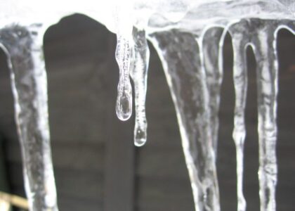 Cold Flow Improvers Industry