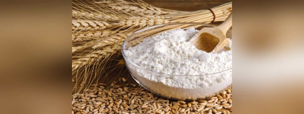 Cultured Wheat Flour Market