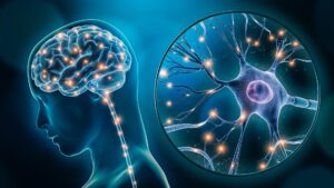Brain Metastasis Therapeutics Market