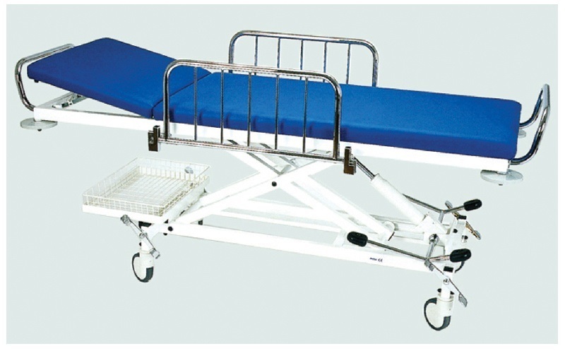 Global Hospital Stretchers Industry Future Market Insights Inc.