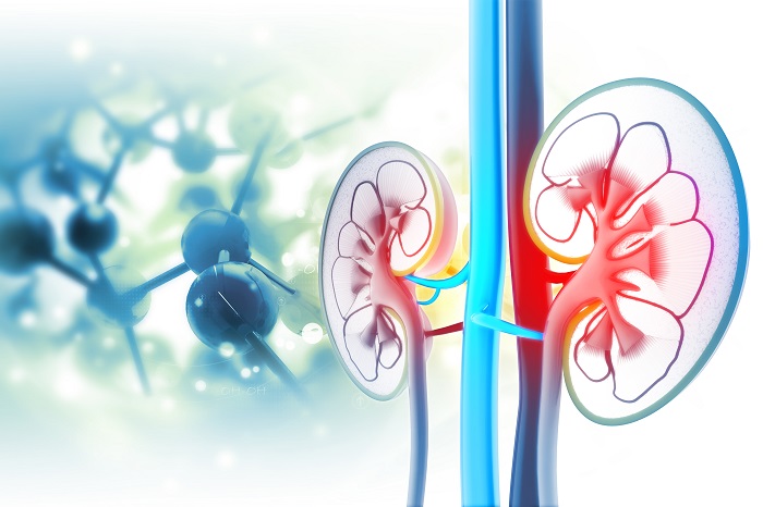 Nephrology and Urology Incontinence Devices Market