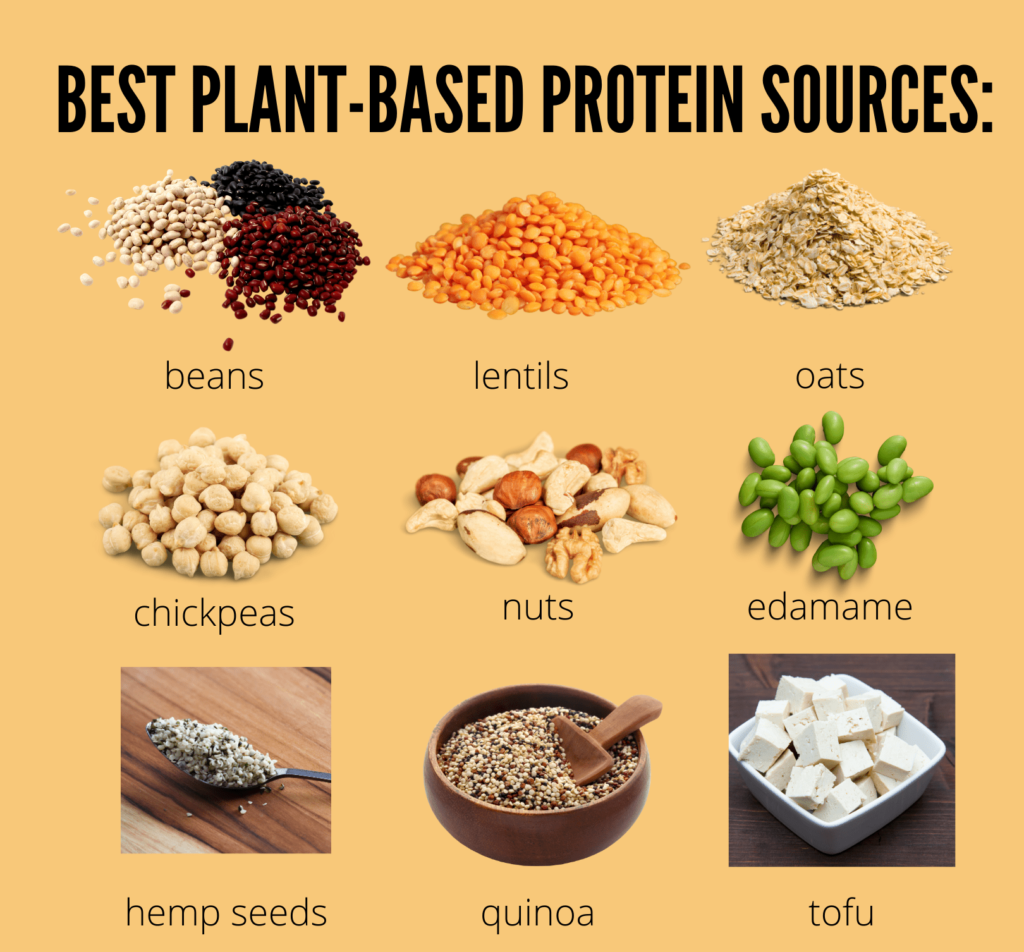 Plant-Derived Proteins Market