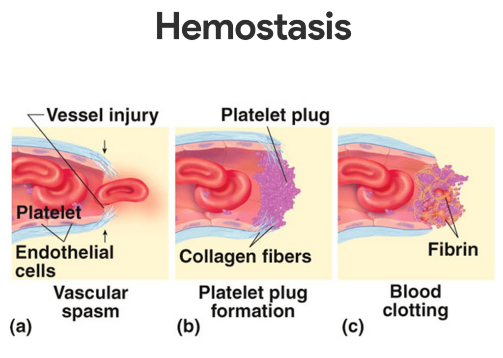 Prefilled Hemostasis Agents Market