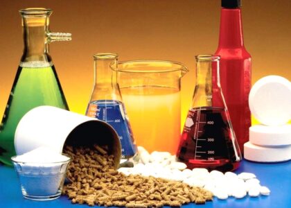 Reactive Diluents Market