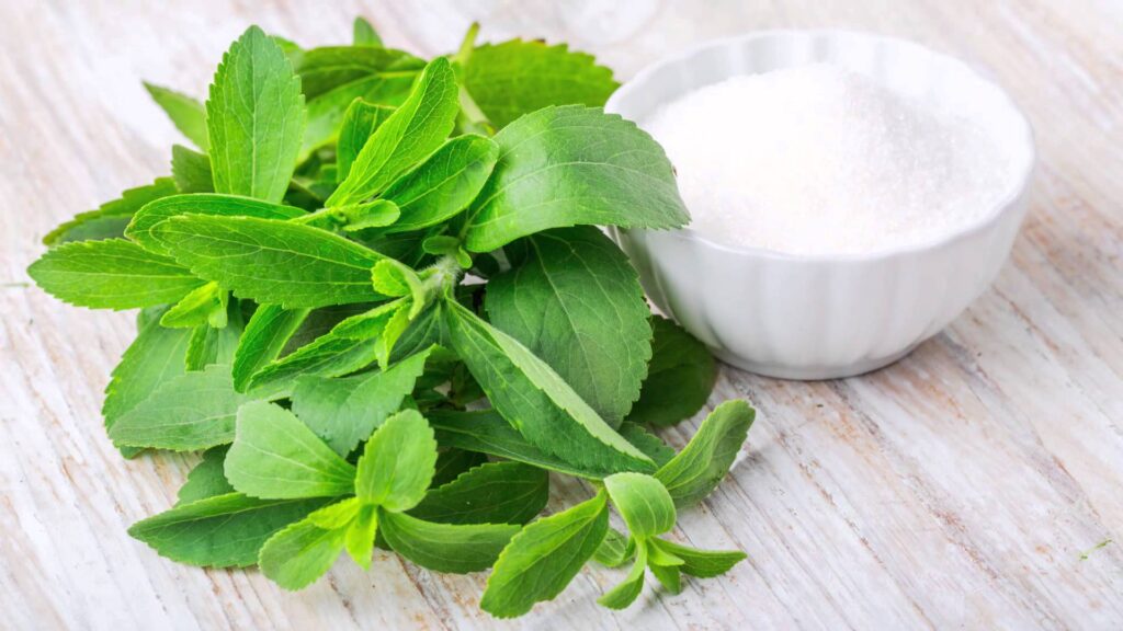 Stevia Market in Western Europe 