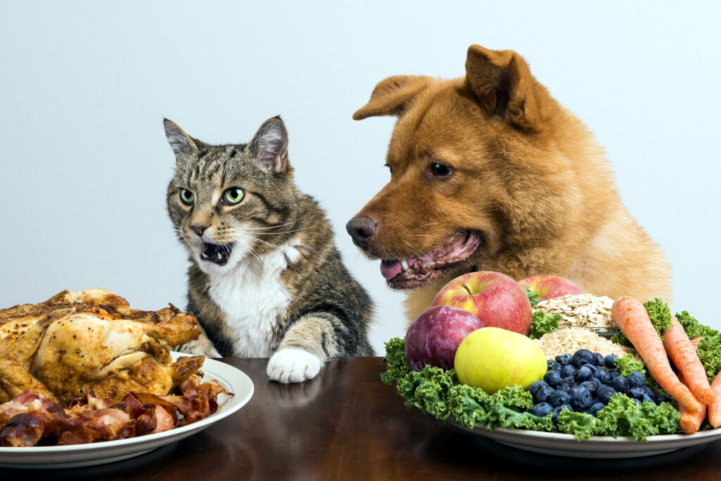 Therapeutic Diet for Pet Market 