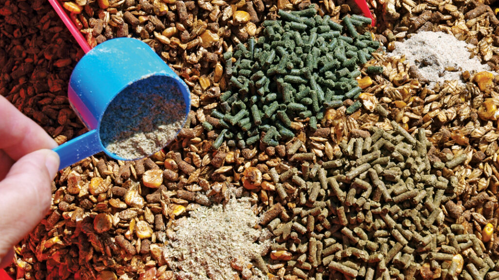 Trace Minerals in Feed Market