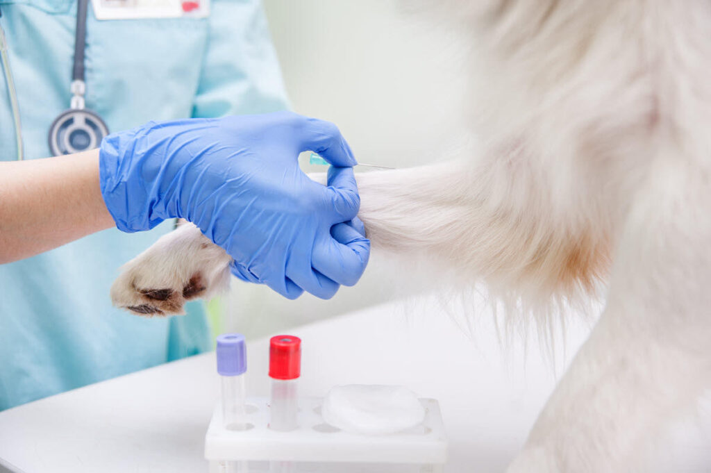 Global Veterinary Molecular Diagnostics Industry