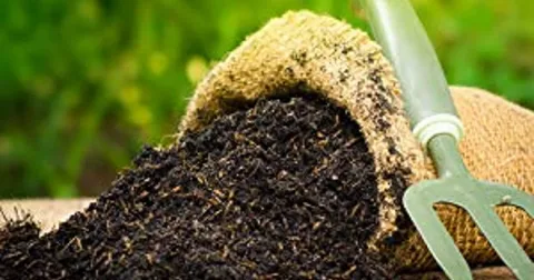 organic fertilizer