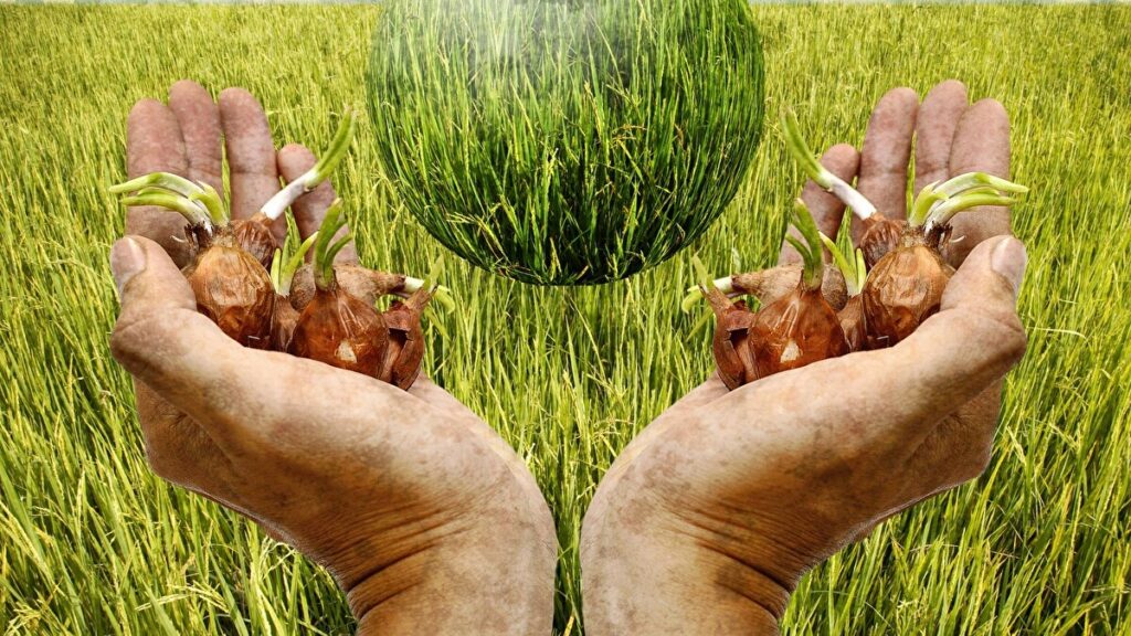 Agriculture Packaging Market