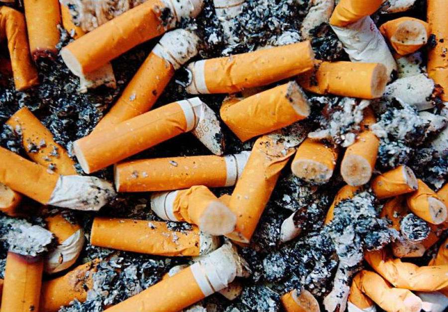 Cigarette Butt Market