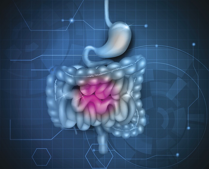 Gastrointestinal Stromal Tumor (GIST) Therapeutics Market